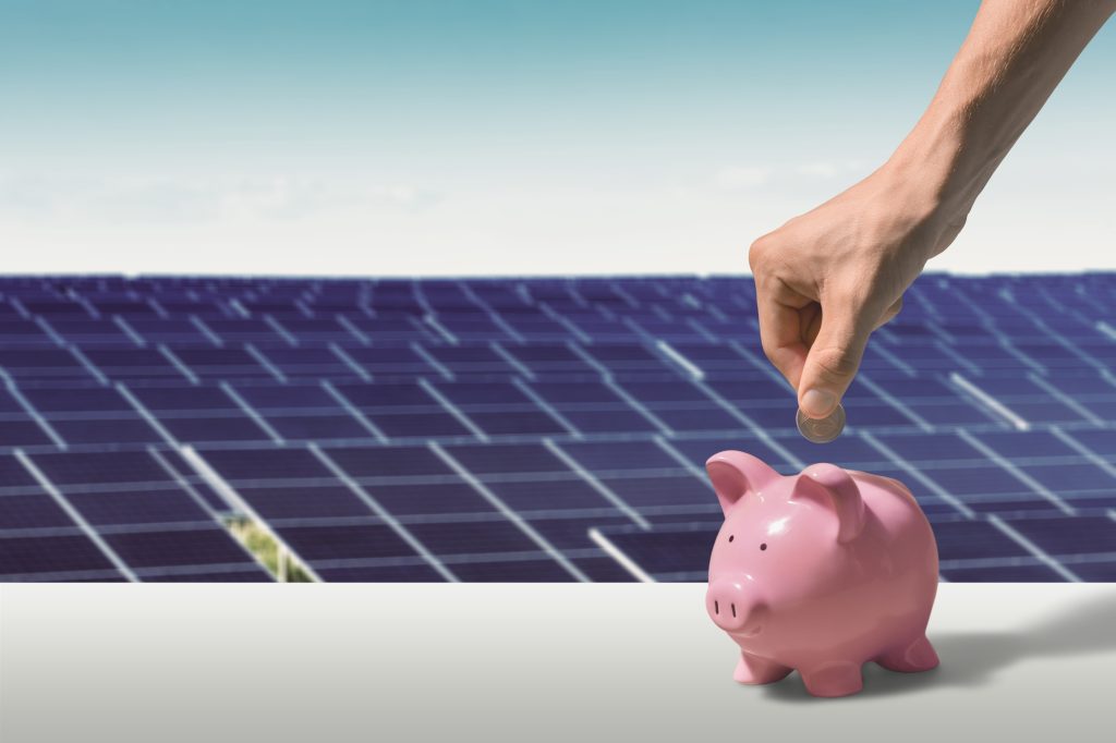 save trees and your money with solar panel installation services